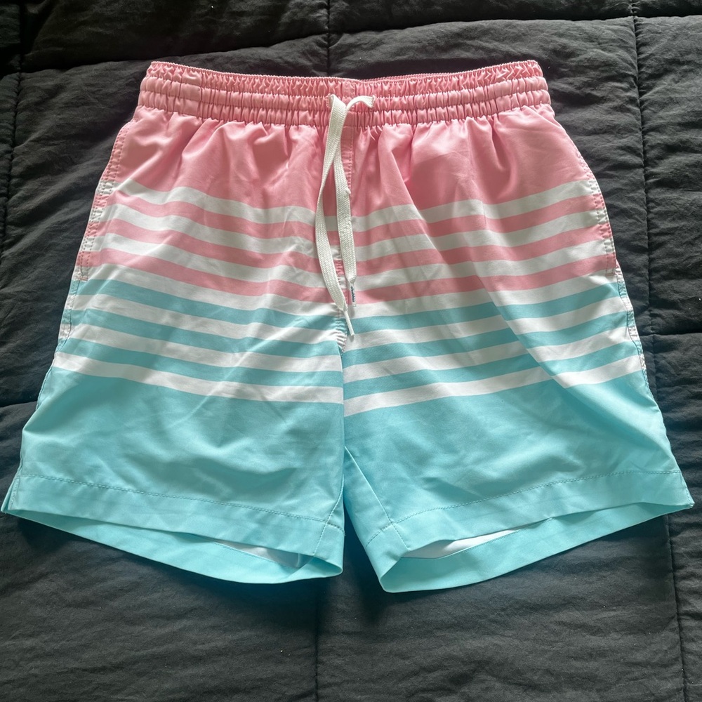 Chubbies Men’s Pink Blue Striped swimming trunks